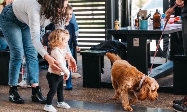 Dog friendly cafes in Canberra