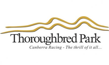 Xmas Party Race Day at Thoroughbred Park
