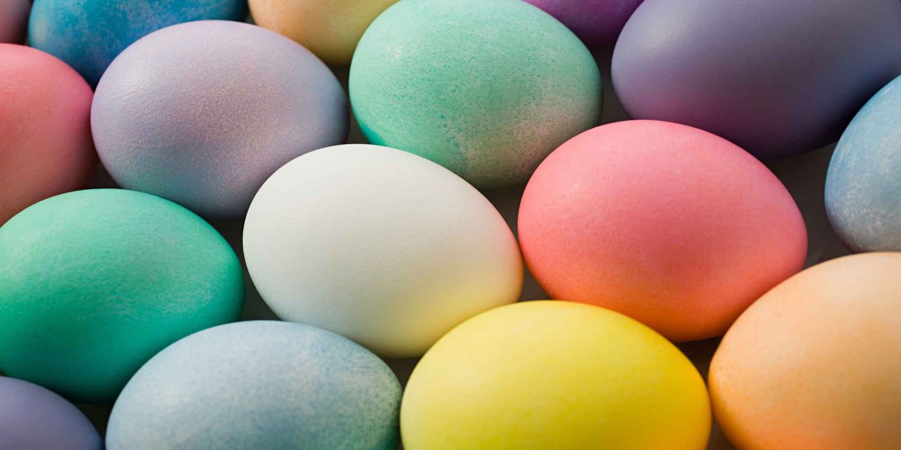 Where to buy the best Easter Eggs in Canberra
