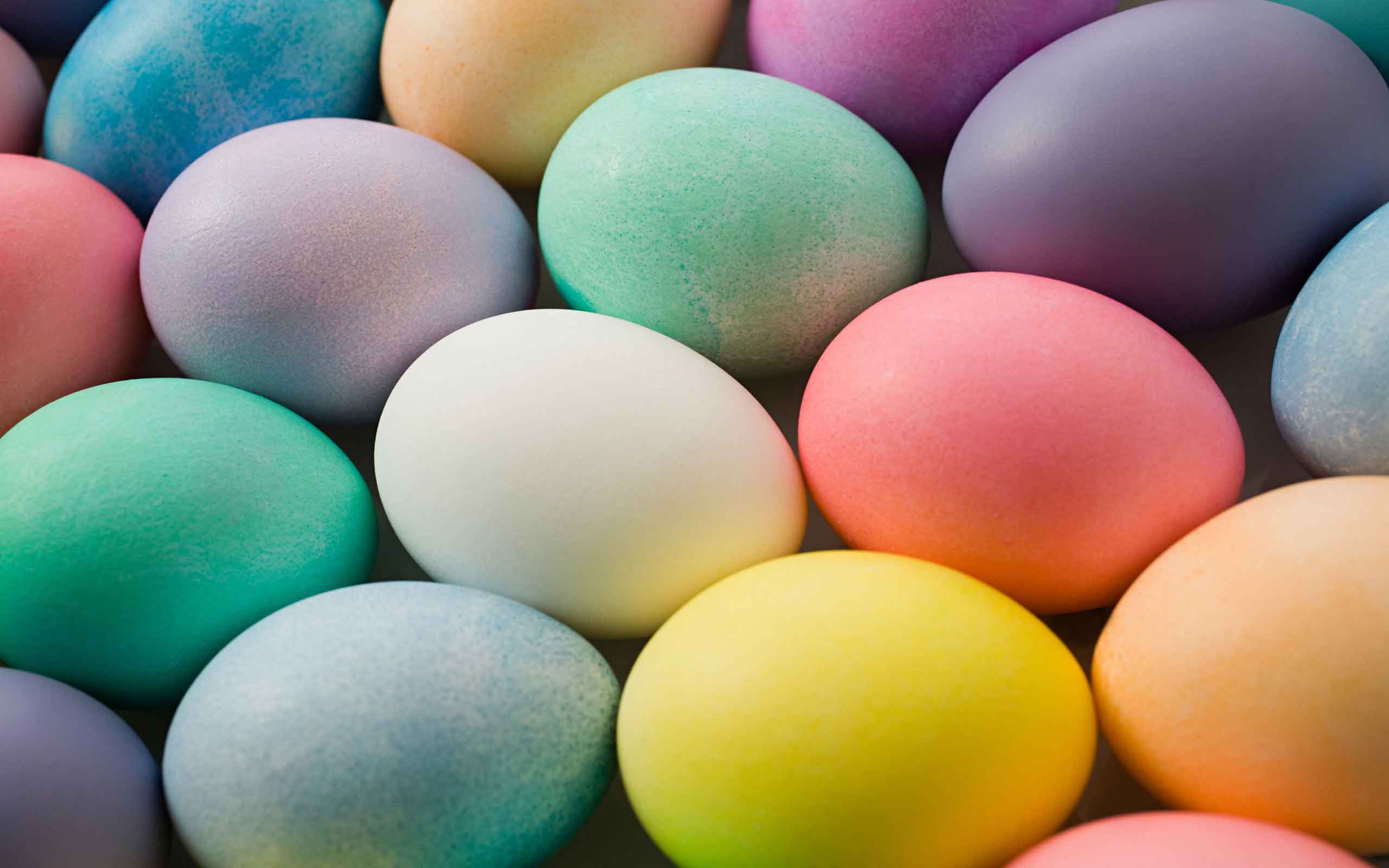 Where to buy the best Easter Eggs in Canberra OutInCanberra