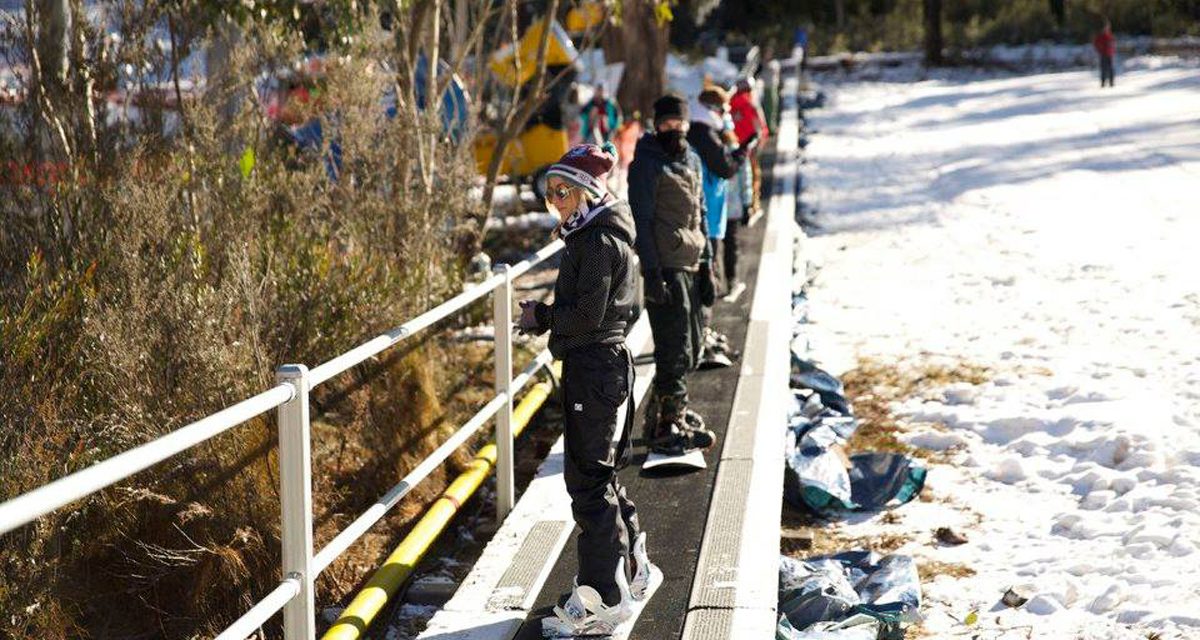 Skiers and boarders now welcome at Corin Forest