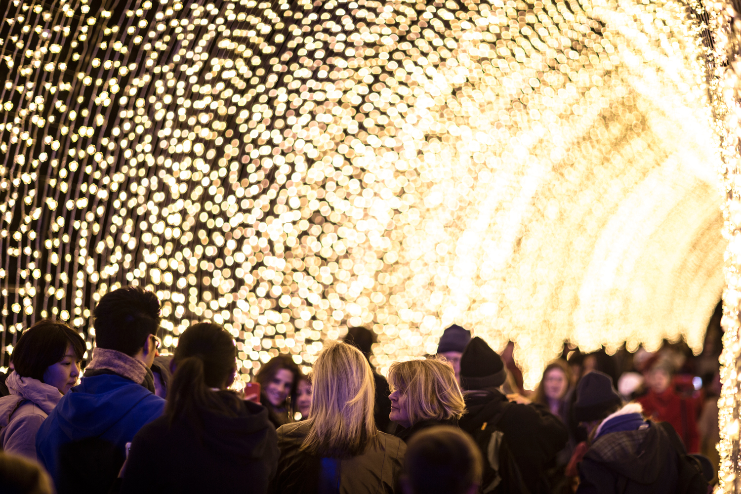 A nocturnal extravaganza