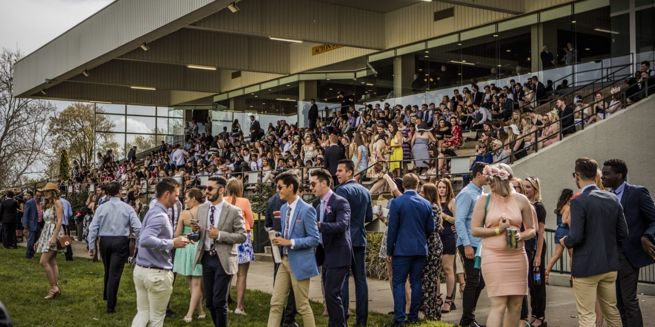 Melbourne Cup guide 2016