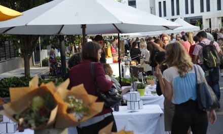 Night Market Canberra returns this week!