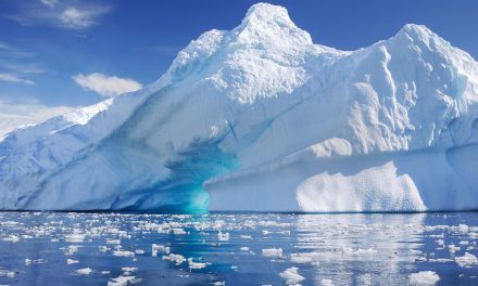 Antarctica Day