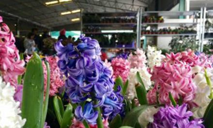 Capital Region Farmers Markets
