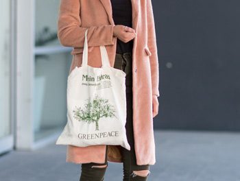 THE MODEL STUDENT