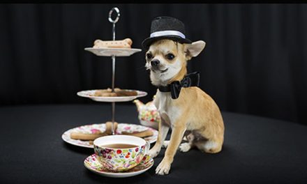A POOCH AFFAIR