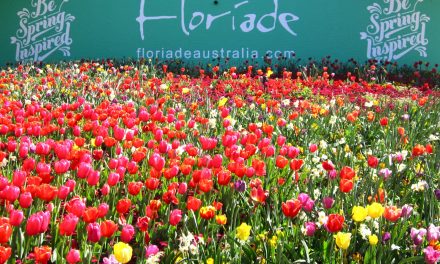 FLORIADE