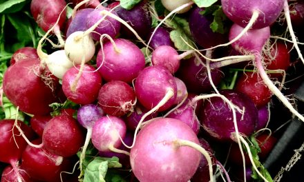 Farmers & Foodies Markets