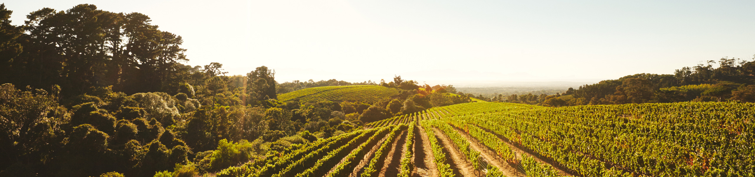 wine tasting tour canberra