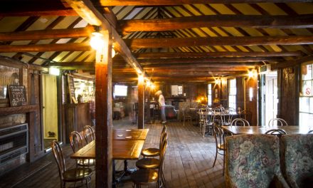 Brewvie Night – Blade Runner at Old Canberra Inn