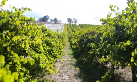 Meet the Chef Dinner: Valli Little with Mount Majura