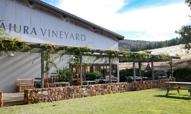 Experience harvest time at Mount Majura Vineyard