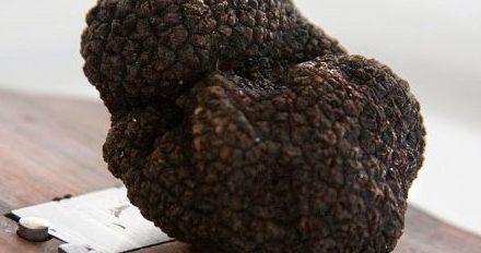 Gala Truffle Dinner at National Press Club of Australia