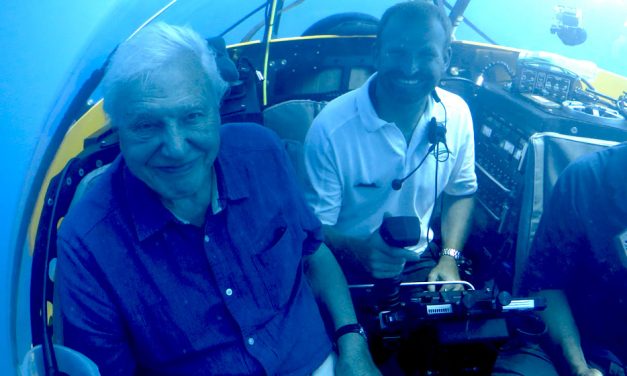 Dive into the deep with David Attenborough at NMA