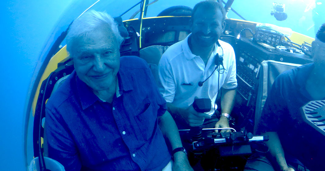 Dive into the deep with David Attenborough at NMA