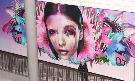 Australian artist Nick Thomm redefines beauty at Canberra Centre