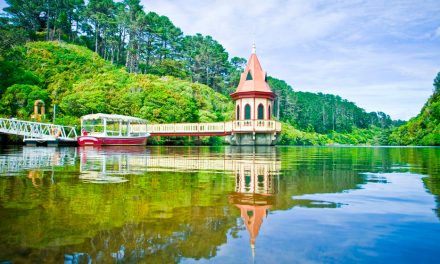 Explorer’s guide to Wellington, NZ
