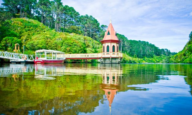 Explorer’s guide to Wellington, NZ