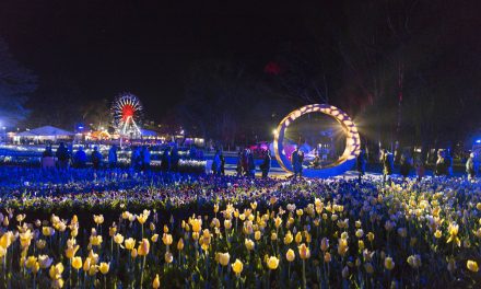 Your Guide to Floriade NightFest: Tim Finn, The Temper Trap and More