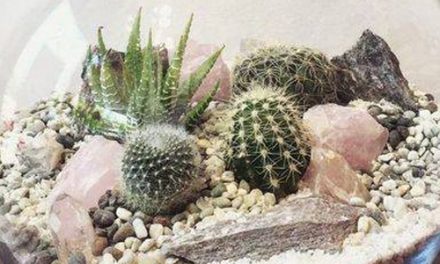 Plant Social Workshop