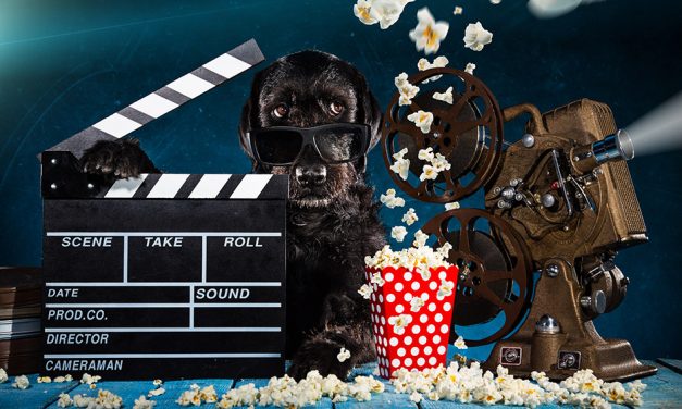 Take your dog to the movies