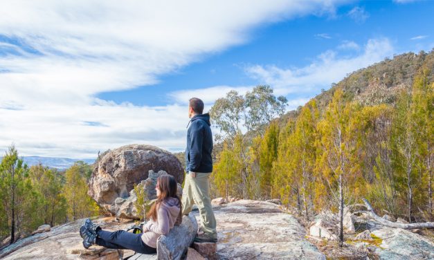 Best walking tracks in Canberra