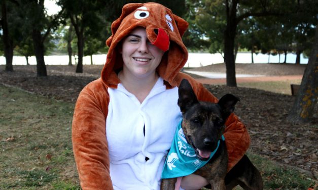 Doggo dress-up for Guinness Record