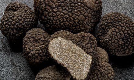 Truffle Dinner