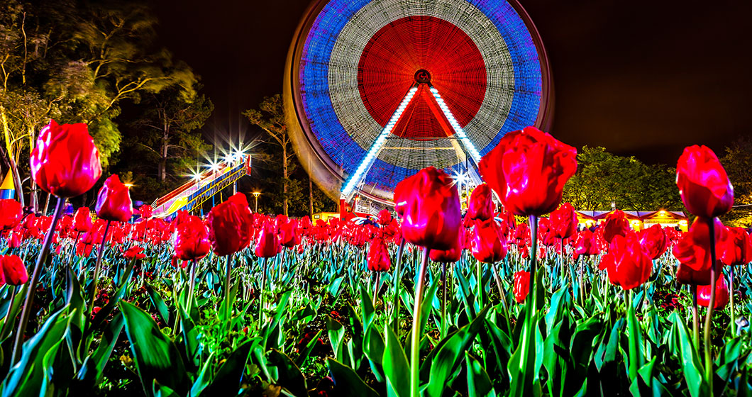 Floriade 2018 a trip down memory lane