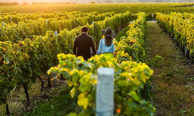 Canberra Winery Tours catering from corporate to couples