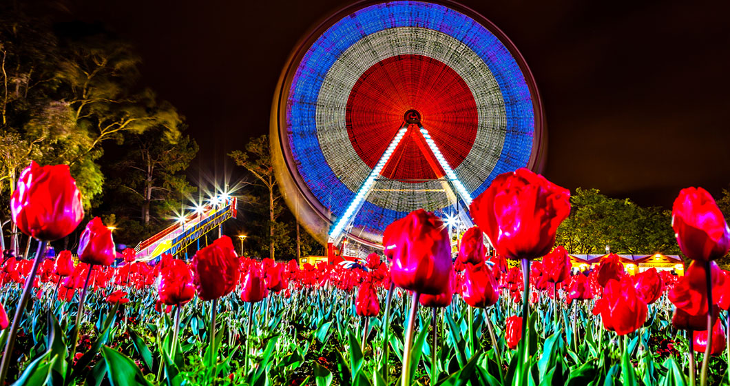 WIN a double pass to NightFest at Floriade!