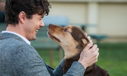 dogswayhome