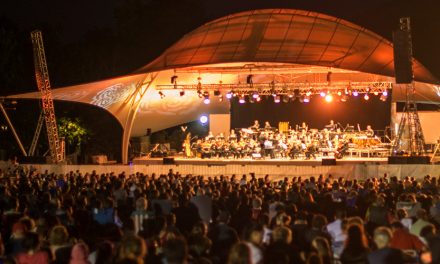 Symphony in the Park