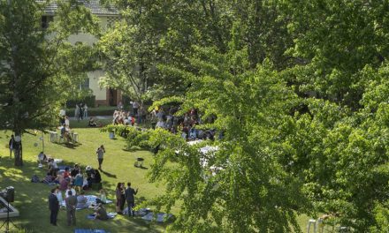 Garden Series – With an ensemble of the Canberra Symphony Orchestra