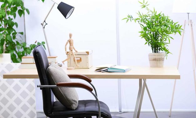 10 home office plants to keep you motivated