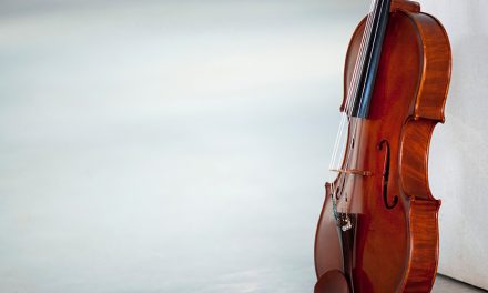 Garden Series – with an ensemble of the Canberra Symphony Orchestra