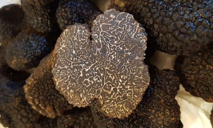 Truffle Dinner Degustation at Hotel Kurrajong