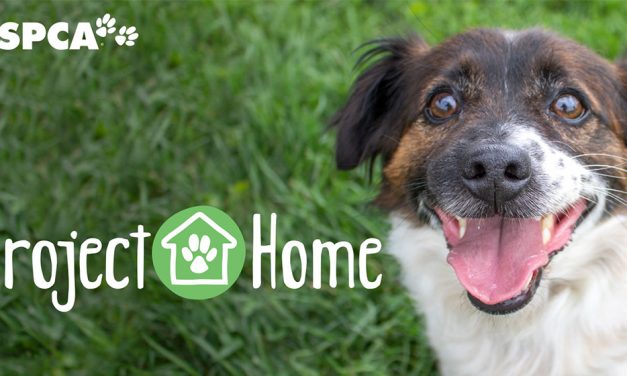 RSPCA ACT launches Project Home