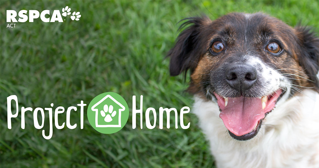 RSPCA ACT launches Project Home