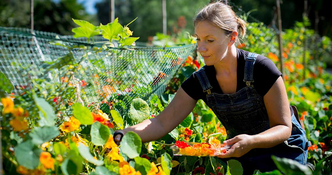 GIVEAWAY: The Biggest Little Farm doco