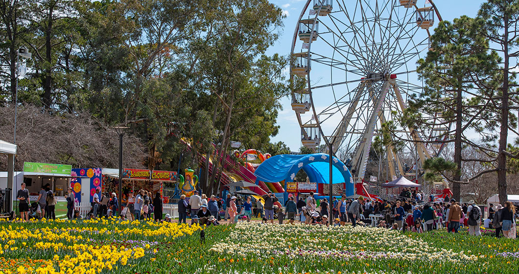 It’s about bloomin’ time – Floriade is here Canberra