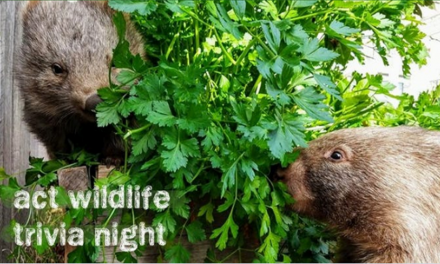 ACT Wildlife Trivia Night
