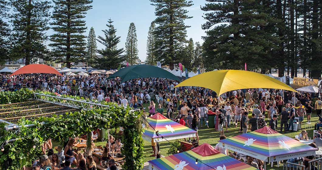 Mash in to Canberra’s first BeeFest