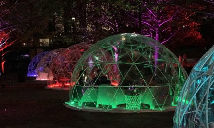 Canberra is getting an igloo garden!