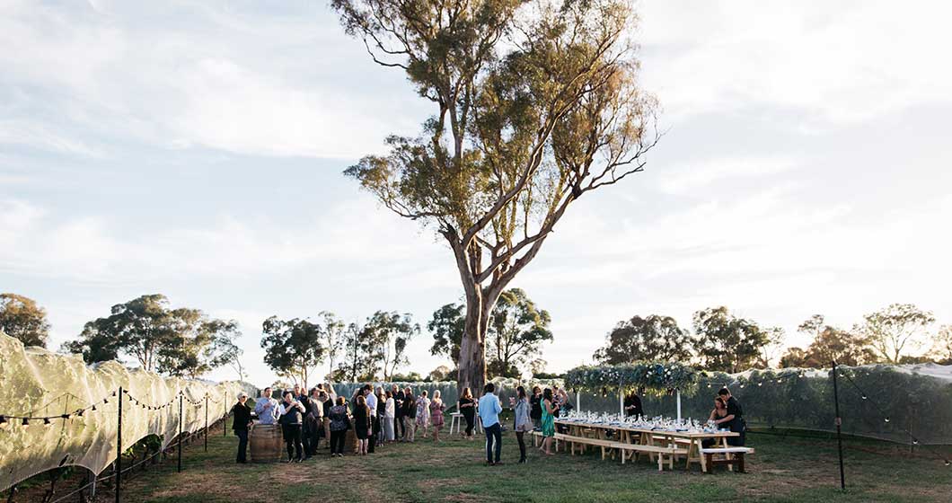 Canberra Wine Week