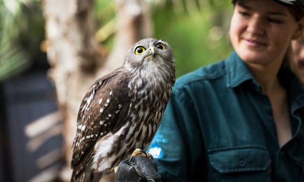 Everything you need to know about CBR’s attractions reopening