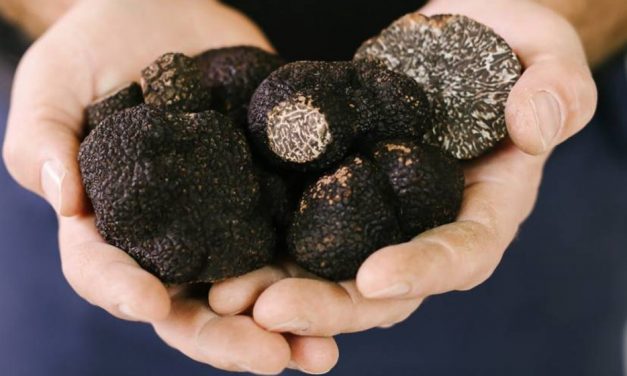 Cook truffles at home with Canberra’s top chefs