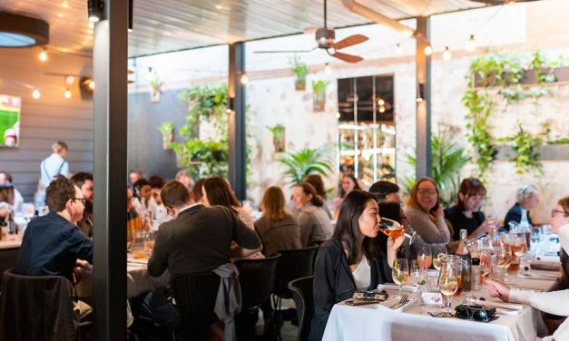 More businesses open as restrictions ease